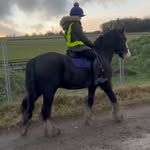 Amelia Ingram-manning - @xx.equine.amelia.xx - Instagram