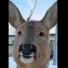 amelia :) - @amelia.lloyd24 - TikTok