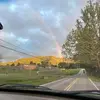 Amelia Lloyd - @amelia.lloyd31 - TikTok