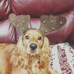 Amelia lloyd - @amelialloyd2006 - Instagram