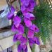 Amelia Mateo - Facebook