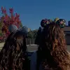 ameliannmeadowspamalot - @ameliannmeadowspamalot - TikTok