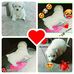 Amelia Mena - Facebook