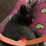 Amelia Milo - Facebook