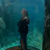 amelia/milo - @milo_chiarelli - TikTok