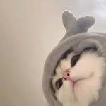 Lia Amelia - @ameliamiruddin - Instagram