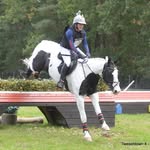Amelia Mitchell - @ameliam_eventing - Instagram
