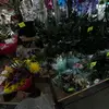 Amelia Mitchell - @amelia.mitchell249 - TikTok