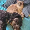 Amelia.mode - @amelia.mode - TikTok