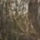 AmElIaModeo - @ameliamodeo - TikTok