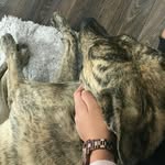 AMELIAMUÑOS FANS - @ameliamunnos - Instagram