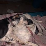 Amelia Munro - @munro2748 - Instagram