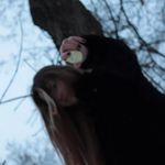 Амелия отто - @ottoamelia14 - Instagram