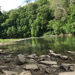 Amelia Otto - @alexthetrashcan1 - Instagram