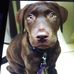 Amelia Roper - Facebook