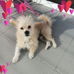 Amelia Serrano - @amelia.serrano.5454 - Instagram