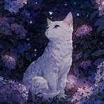 @amelia___song - Instagram