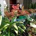 Amelia Tang - Facebook