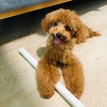 Amelia Tang - @ameliatang - Instagram