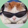 millie - @ameliatroyer - TikTok