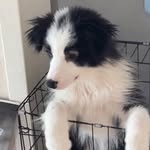 @ameliatucker867ksu - Instagram