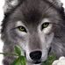 Amelia Vogt - Facebook