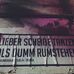 Amelia Vogt - Facebook