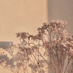 ~Amelia_vogt~ - @amelia_vogt01 - Instagram