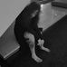 Amelia Wallace - Facebook
