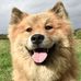 Amelia Wells - Facebook