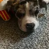 Amelia Wilson - @amelia.wilson72 - TikTok