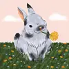 ameliawise77 - @ameliawise77 - TikTok