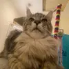 amelia - @amelia.wray04 - TikTok