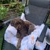 Amelia Yates - Facebook