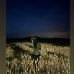 Amelia Zimmermann - Facebook