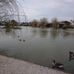 Amelie Bourdon - Facebook