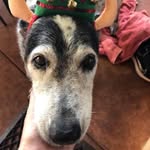 Amelie Cox - @amelie.cox.3551 - Instagram