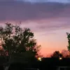 amelie <3 - @amelie.fleming22 - TikTok