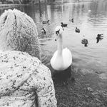 Amelie heß - @hess.amelie - Instagram
