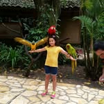 amelie cecile molina pineda - @ameliececi - Instagram