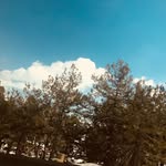 Amelie Perry - @am3li3_p3rry - Instagram
