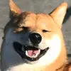 Amelie Schmidt - @amelie.schmidt07 - TikTok