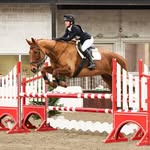 🇬🇧Amelie🇬🇧 - @ameliescott_eventing - Instagram
