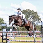 Amelie Scott 🇦🇺 - @acs_eventing - Instagram
