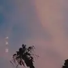 amelie simpson - @oh.my.oh.my.its.amelie - TikTok