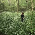 amelie - @amelieward_ - Instagram
