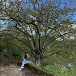 Amelie Yang - @ya.ngyangg - Instagram