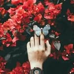 Amer Hariri - @amer.hariri.98 - Instagram