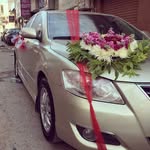 Amer Abu Karaki - @amer_abu_karaki - Instagram