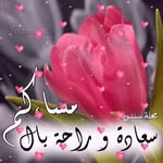 Khader Amer - @khader.amer.9 - Instagram